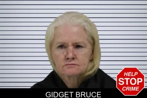 Gidget Bruce mugshot