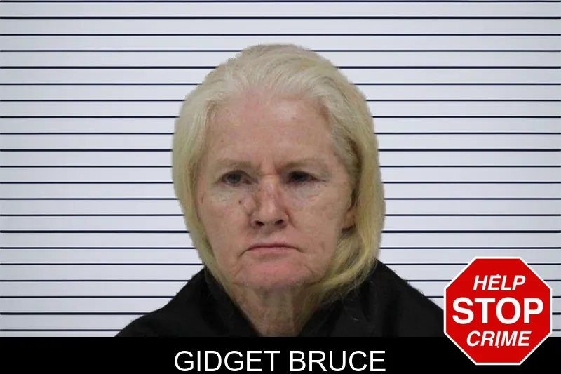 Gidget Bruce mugshot