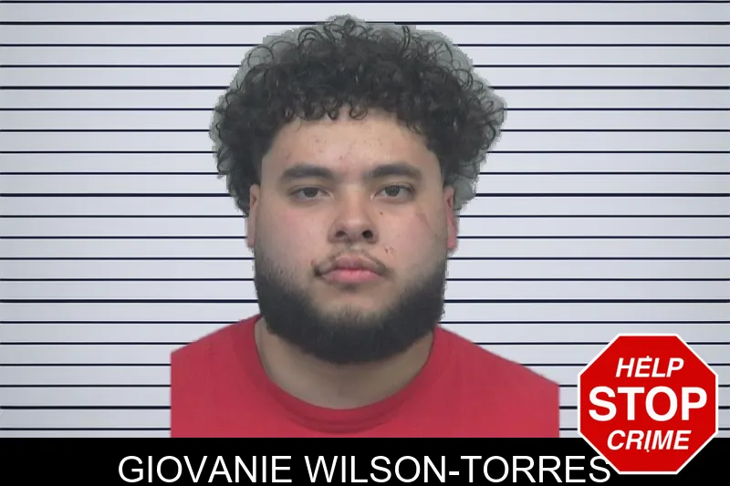 Giovanie Wilson-Torres mugshot