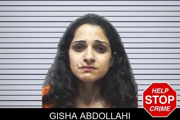 Gisha Abdollahi