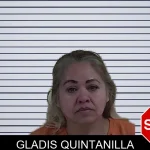 Gladis Quintanilla mugshot – Fannin County , Georgia Gladis Quintanilla mugshot