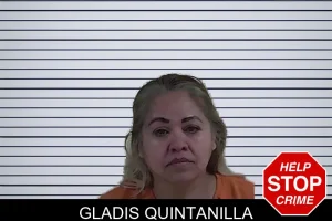 Gladis Quintanilla mugshot