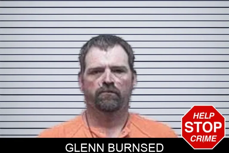 Glenn Burnsed mugshot – Tattnall County , Georgia Glenn Burnsed