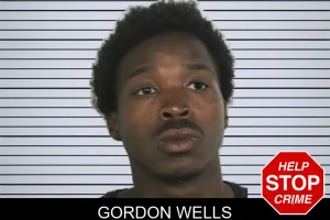 Gordon Wells mugshot