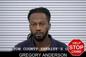 Gregory Anderson mugshot