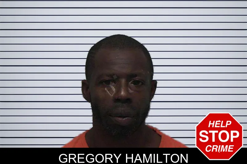 Gregory Hamilton mugshot