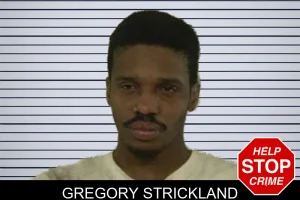 Gregory Strickland mugshot