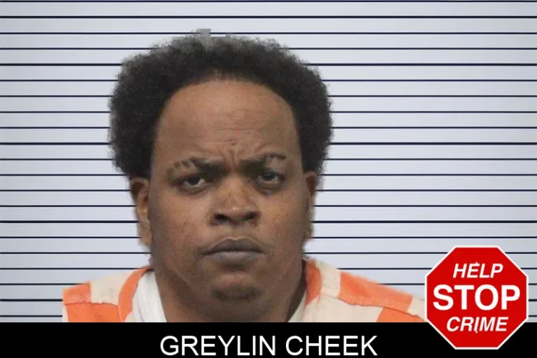Greylin Cheek mugshot – White County , Georgia Greylin Cheek