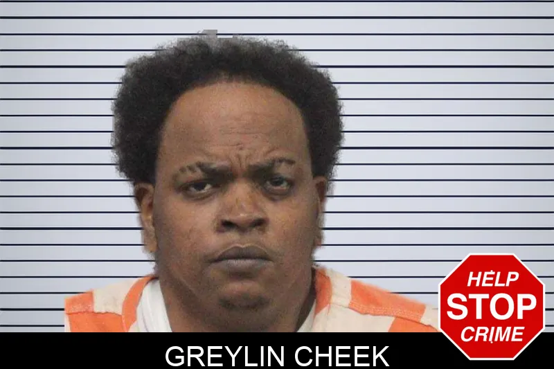 Greylin Cheek mugshot – White County , Georgia Greylin Cheek mugshot