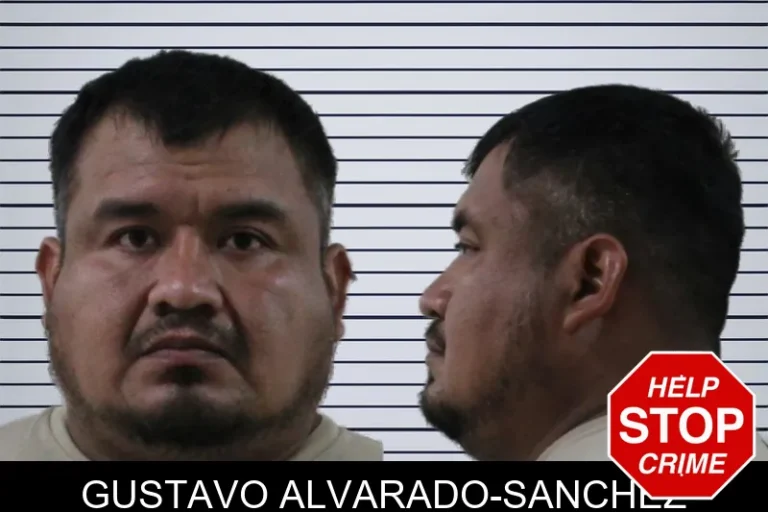 Gustavo Alvarado-Sanchez