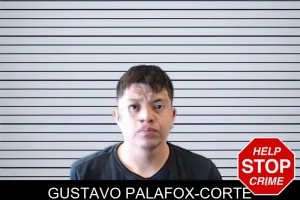Gustavo Palafox-Corte mugshot
