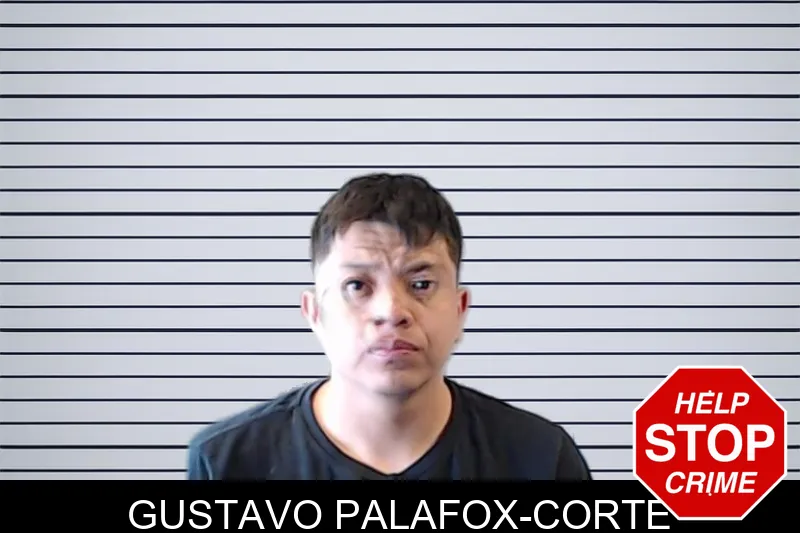 Gustavo Palafox-Corte mugshot