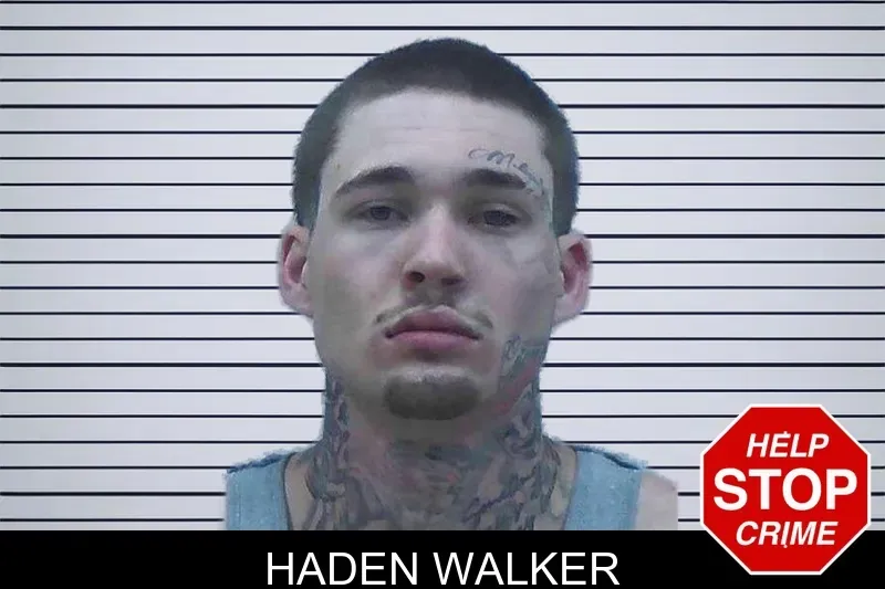 Haden Walker mugshot