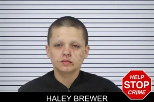 Haley Brewer mugshot