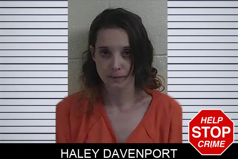 Haley Davenport mugshot – Fannin County , Georgia Haley Davenport mugshot