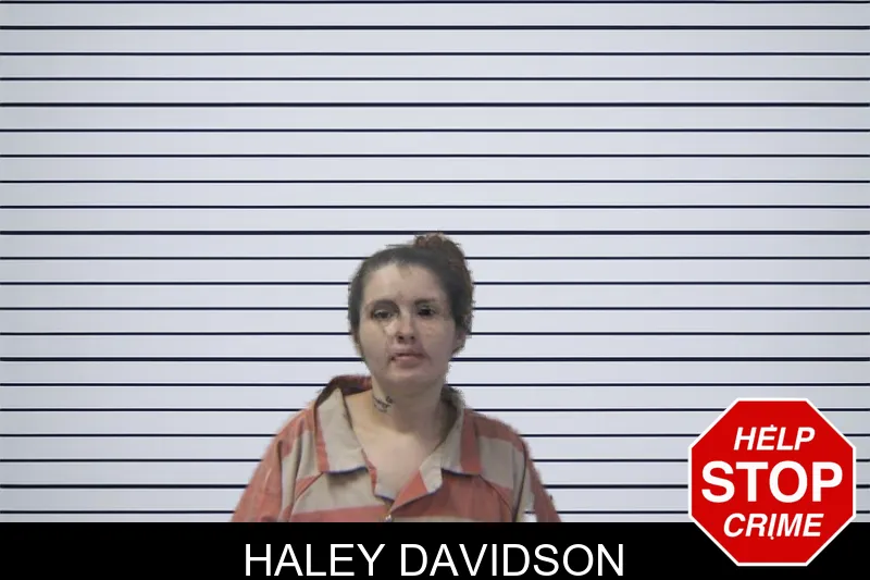 Haley Davidson mugshot