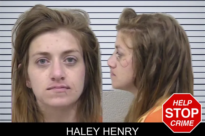 Haley Henry mugshot – Paulding County , Georgia Haley Henry mugshot