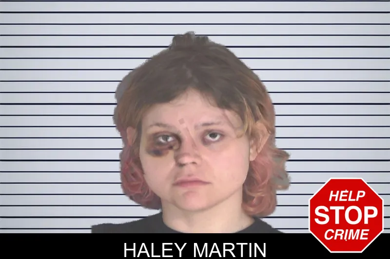 Haley Martin mugshot – Douglas County , Georgia Haley Martin mugshot