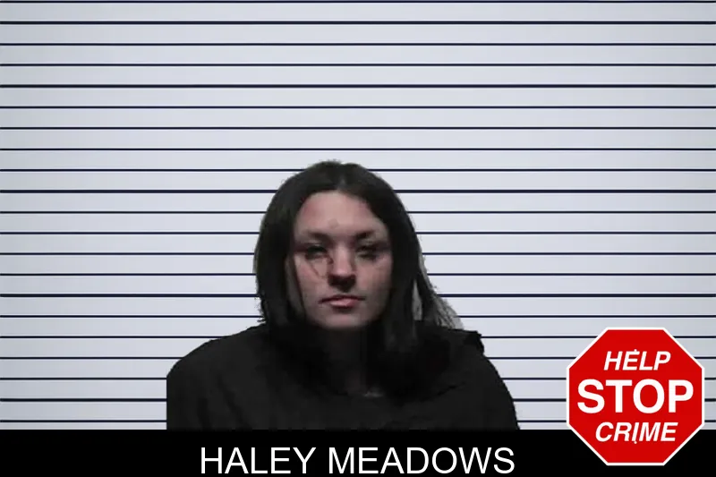 Haley Meadows mugshot