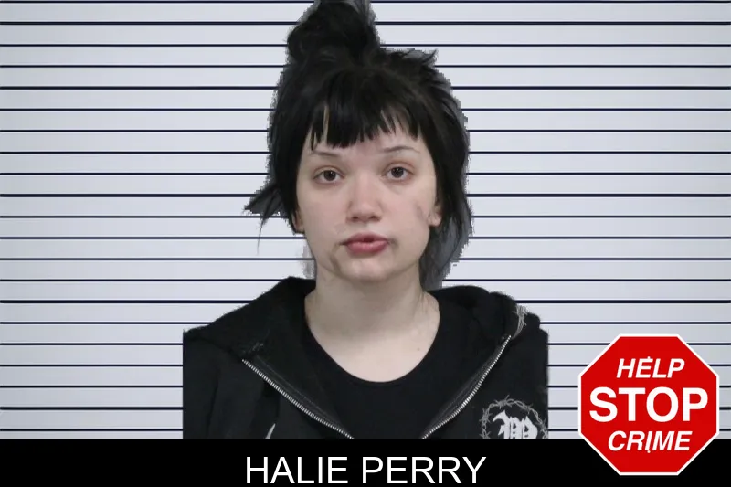 Halie Perry mugshot