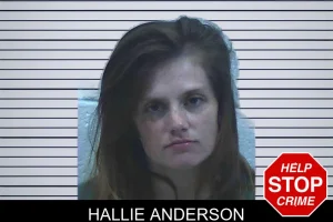 Hallie Anderson mugshot