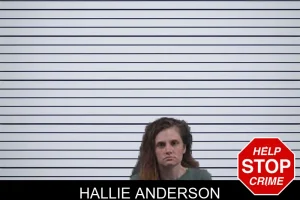 Hallie Anderson mugshot