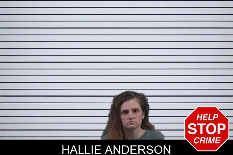 Hallie Anderson mugshot – Banks County , Georgia Hallie Anderson