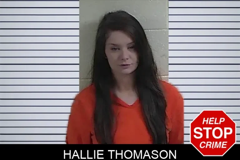 Hallie Thomason mugshot – Fannin County , Georgia Hallie Thomason