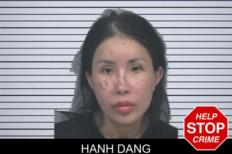 Hanh Dang mugshot – Gwinnett County , Georgia Hanh Dang