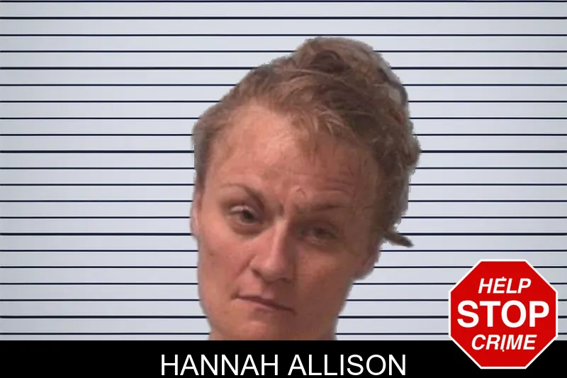 Hannah Allison mugshot