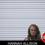 Hannah Allison mugshot – Stephens County , Georgia Hannah Allison mugshot