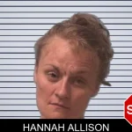 Hannah Allison mugshot
