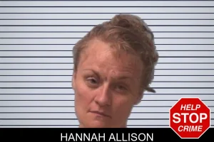 Hannah Allison mugshot