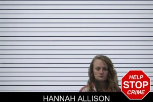 Hannah Allison mugshot