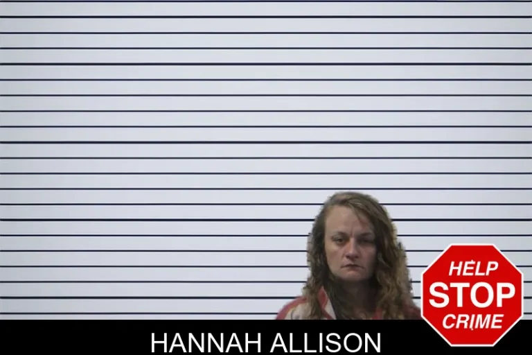 Hannah Allison
