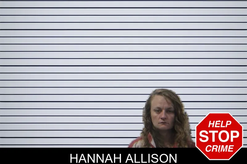 Hannah Allison mugshot