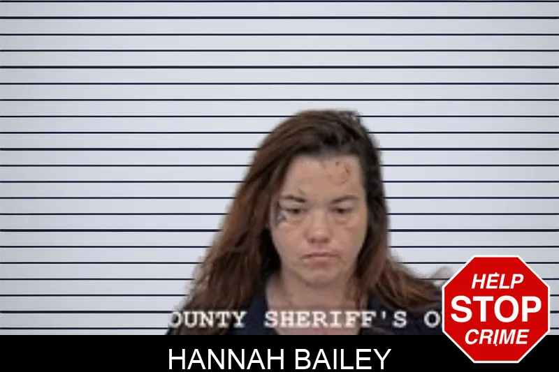 Hannah Bailey mugshot – Walton County , Georgia Hannah Bailey mugshot
