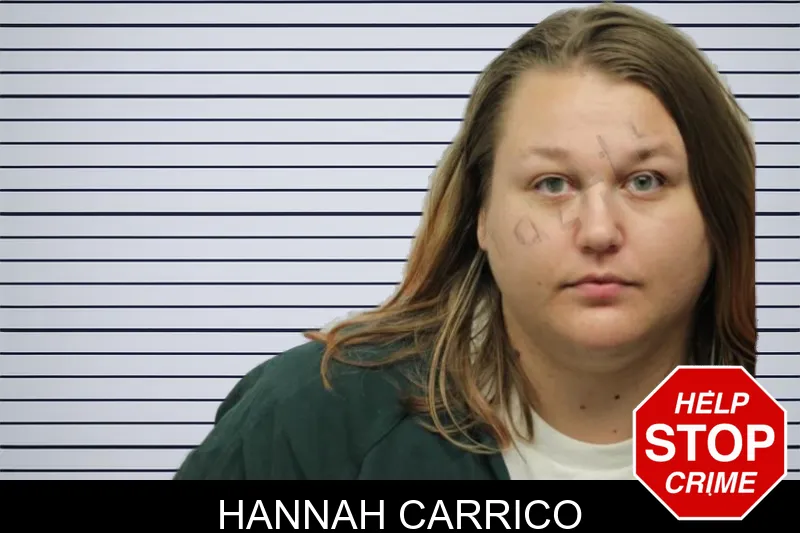 Hannah Carrico mugshot