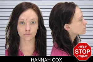 Hannah Cox mugshot