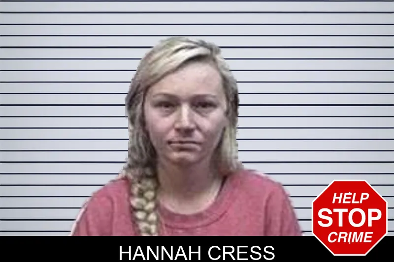 Hannah Cress mugshot