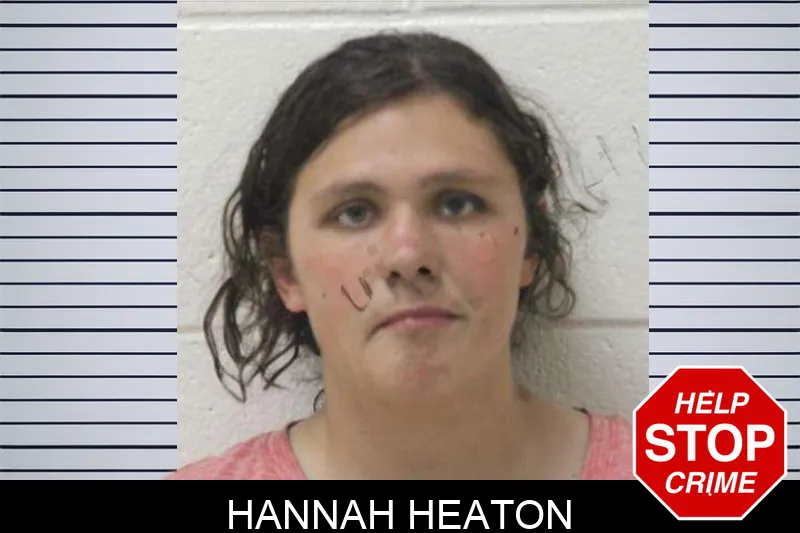 Hannah Heaton mugshot – Jones County , Georgia Hannah Heaton mugshot