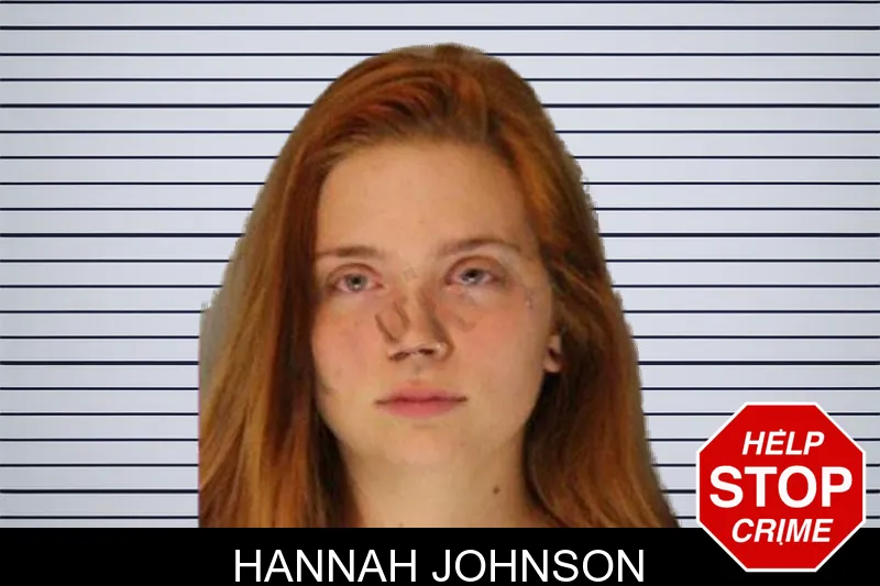 Hannah Johnson mugshot