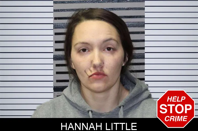Hannah Little mugshot – Thomas County , Georgia Hannah Little mugshot
