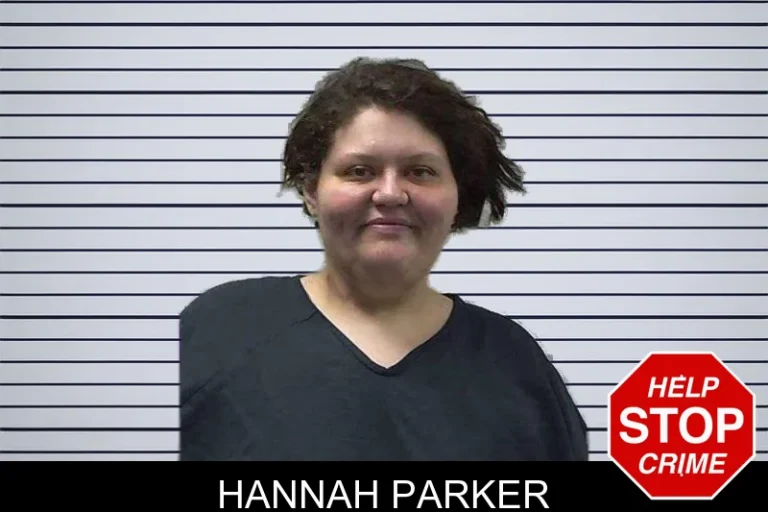 Hannah Parker mugshot – Gilmer County , Georgia Hannah Parker