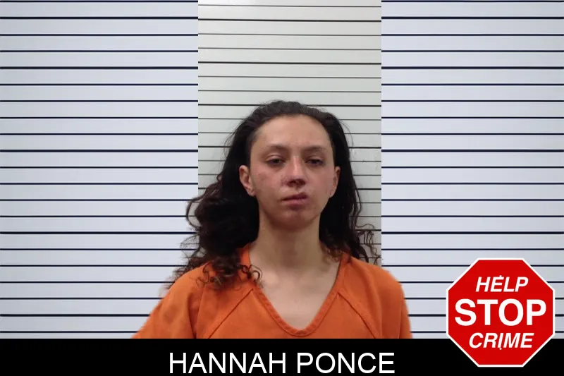 Hannah Ponce mugshot