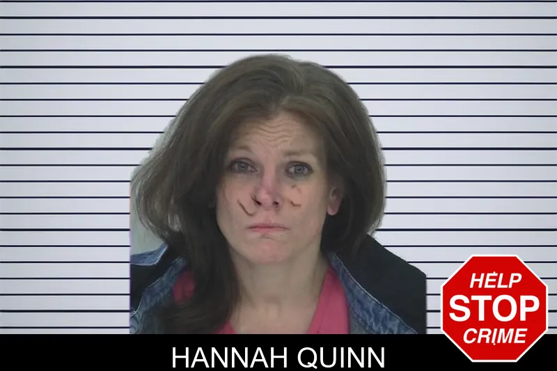 Hannah Quinn mugshot – Fayette County , Georgia Hannah Quinn mugshot