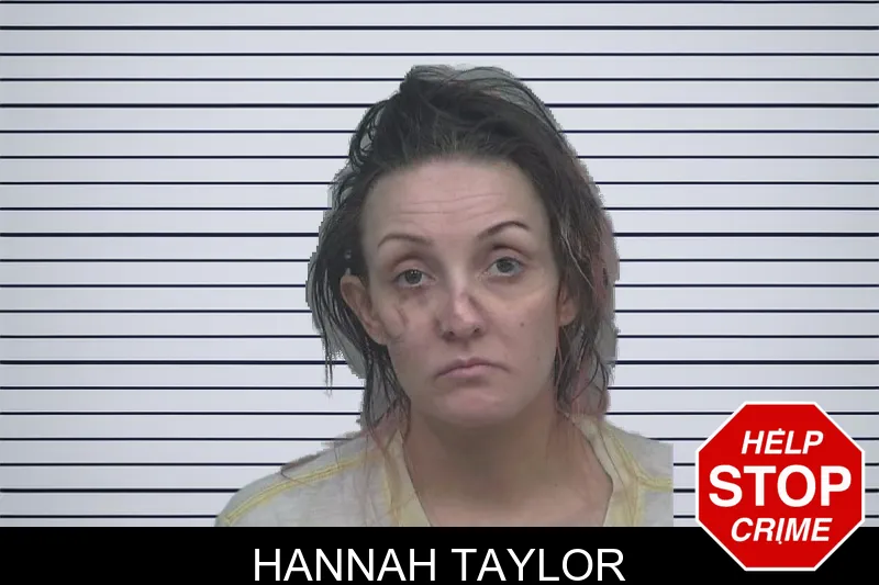 Hannah Taylor mugshot