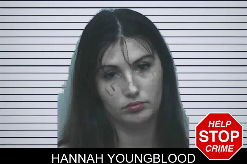 Hannah Youngblood mugshot – Lanier County , Georgia Hannah Youngblood mugshot