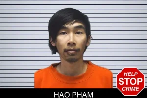 Hao Pham mugshot