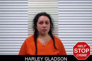 Harley Gladson mugshot
